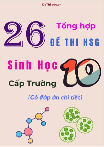 Tổng hợp 26 đề thi HSG Sinh học Lớp 10 cấp Trường (Có đáp án chi tiết)